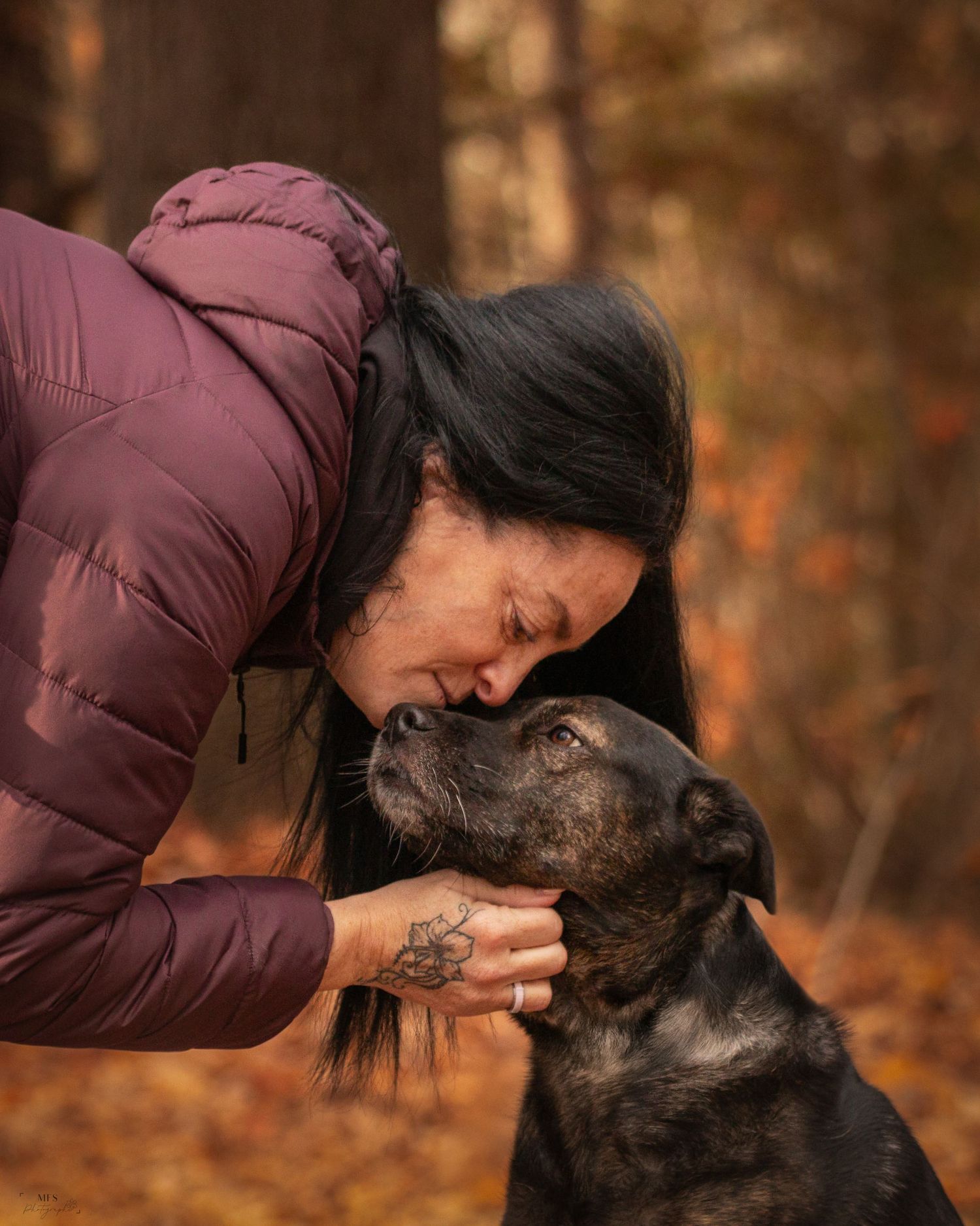 human-dog-photoshoot
dog-portrait-photoshoot
senior-dog-photoshoot
rainbow-bridge-photoshoot