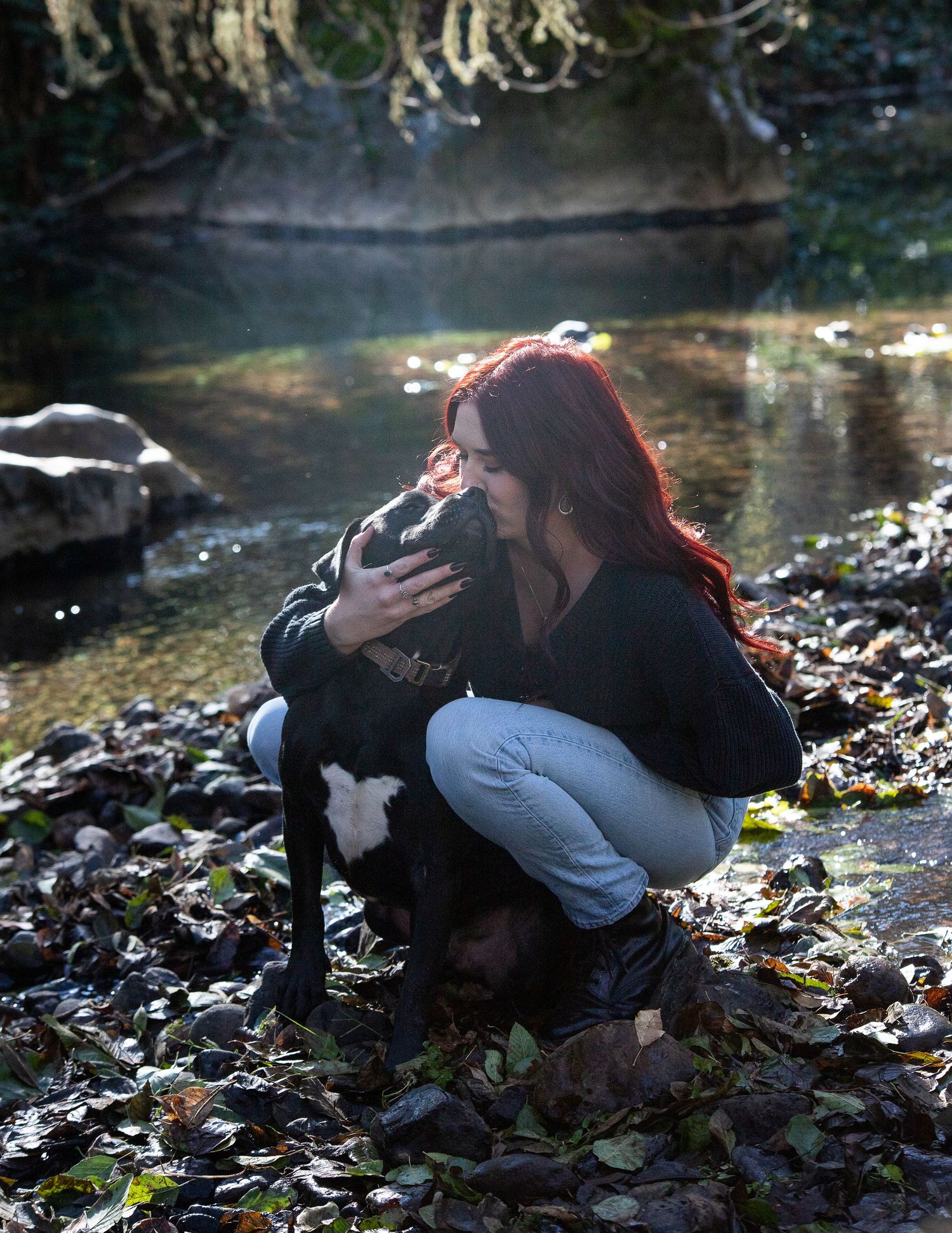Volcano CA, Creek Photos, Amador County Photographer, Fall Photos, dogs