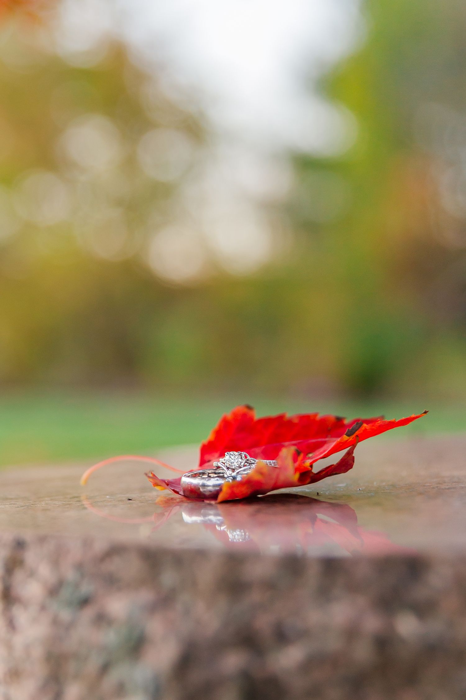 A vibrant red maple leaf rests on a blurred stone surface with a soft bokeh background effect in autumn.