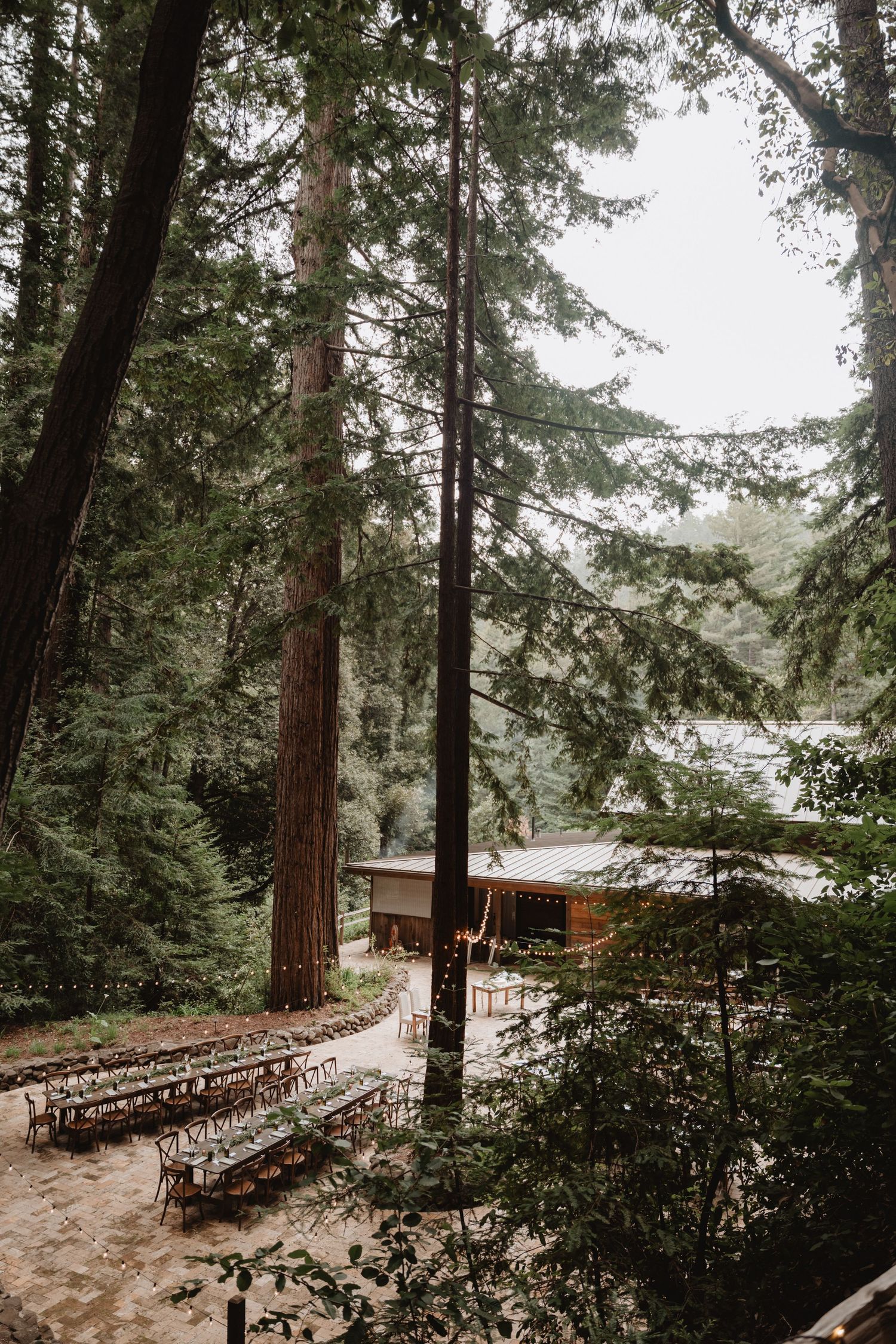 redwood wedding reception