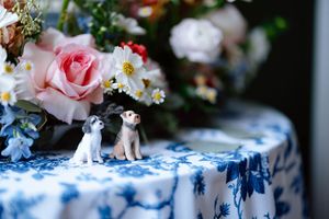 Toledo Country Club Wedding Toledo Wedding Photographer Ohio Wedding Photographer Michigan Wedding Photographer Toledo Ohio wedding