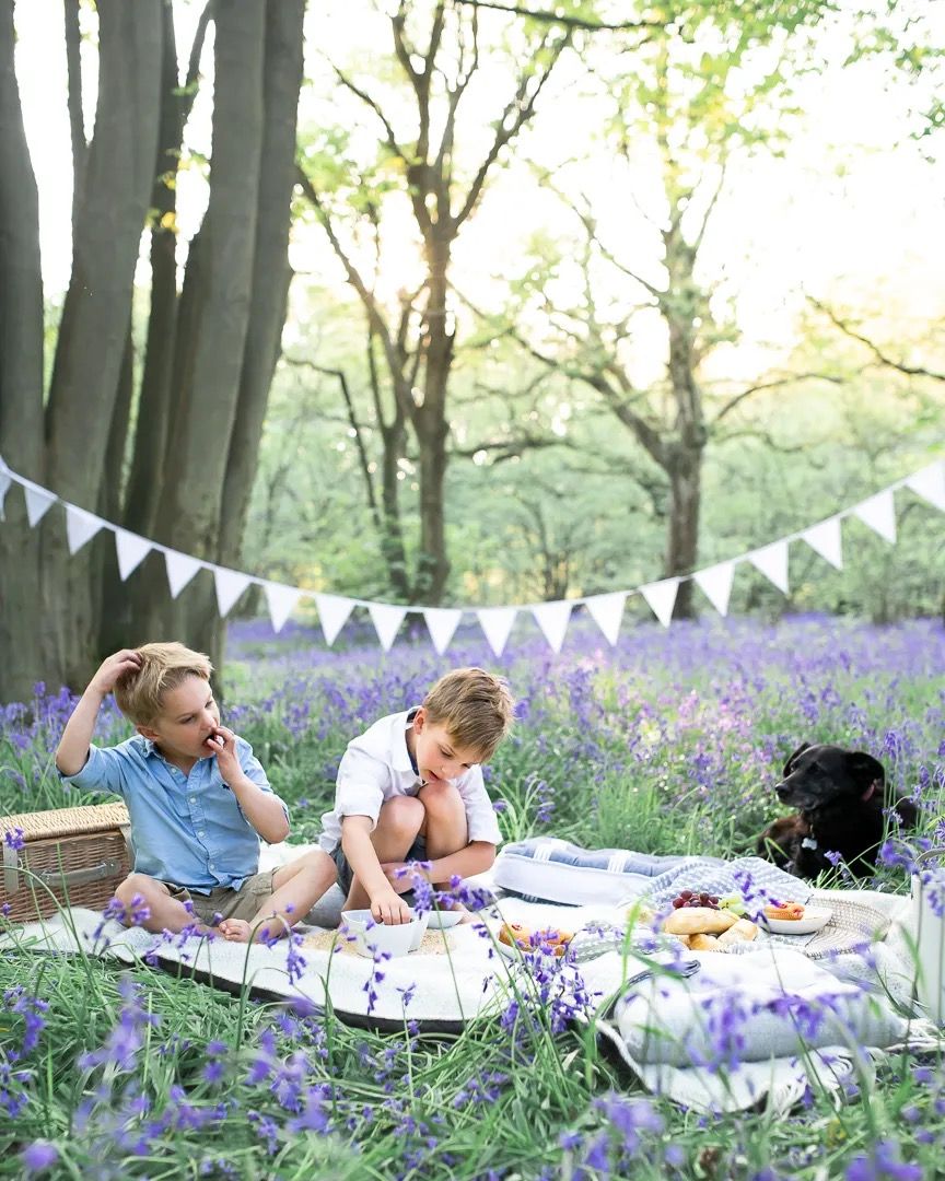 Family sitting together in a bluebell-filled woodland at sunset.