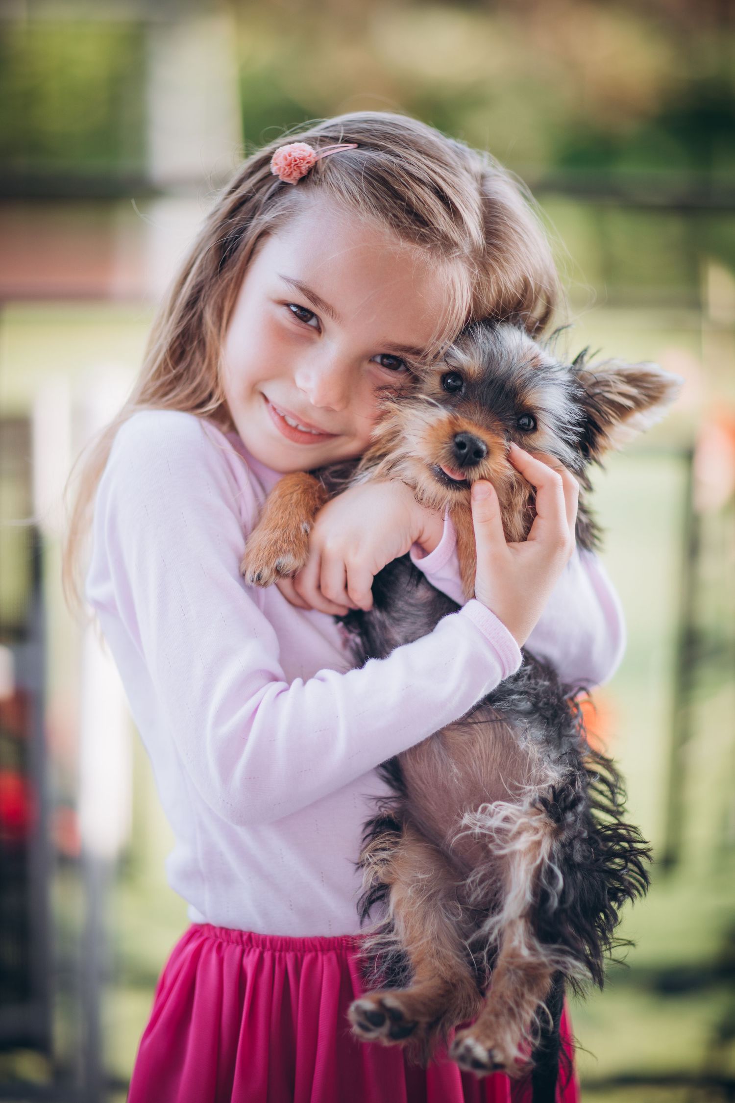 Sweet moment between a small Yorkshire terrier puppy and its young companion.