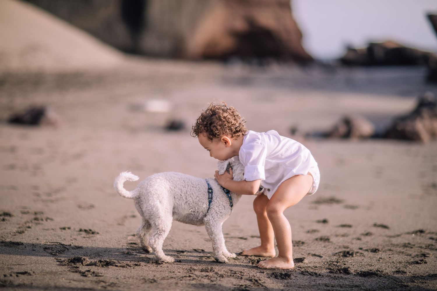 Small child in white outfit bending down to interact with white puppy on sandy beach.