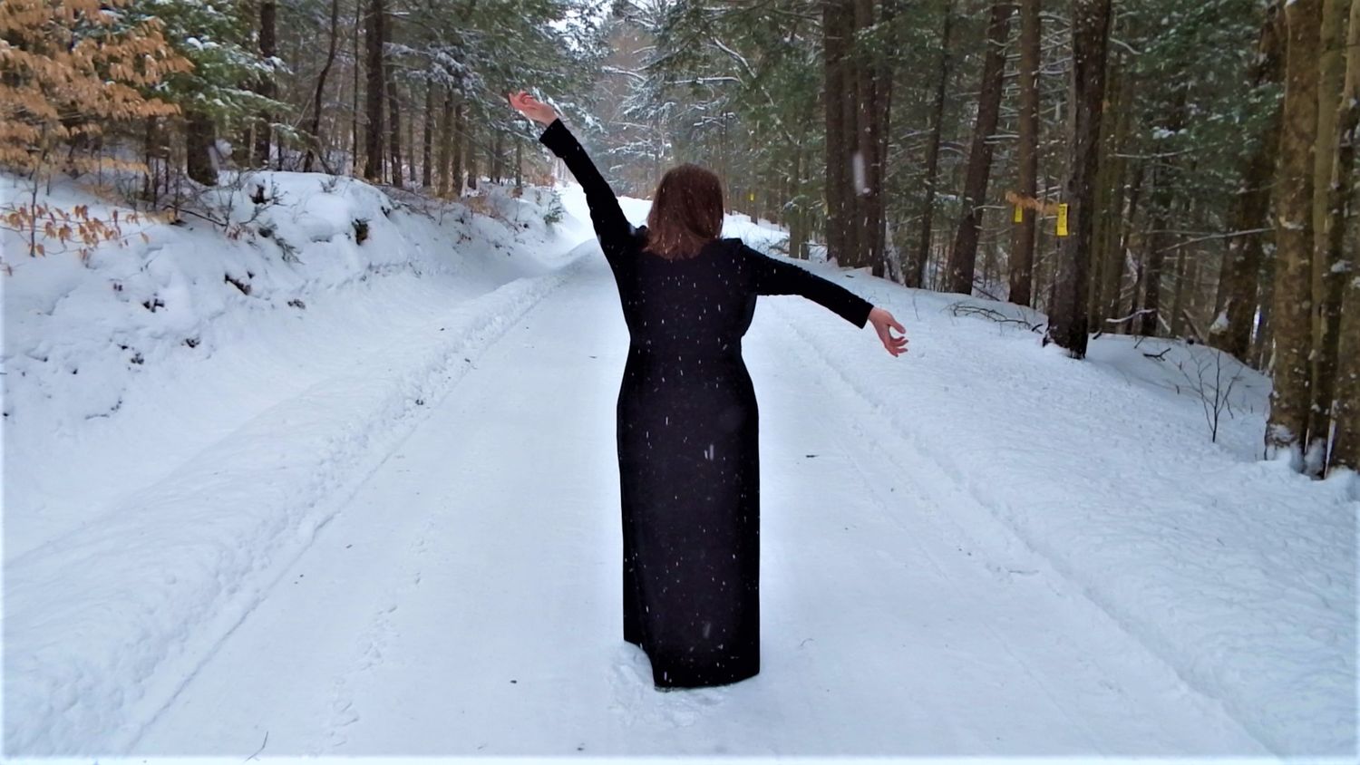 Someone walks along a snow-covered forest trail surrounded by evergreen trees.