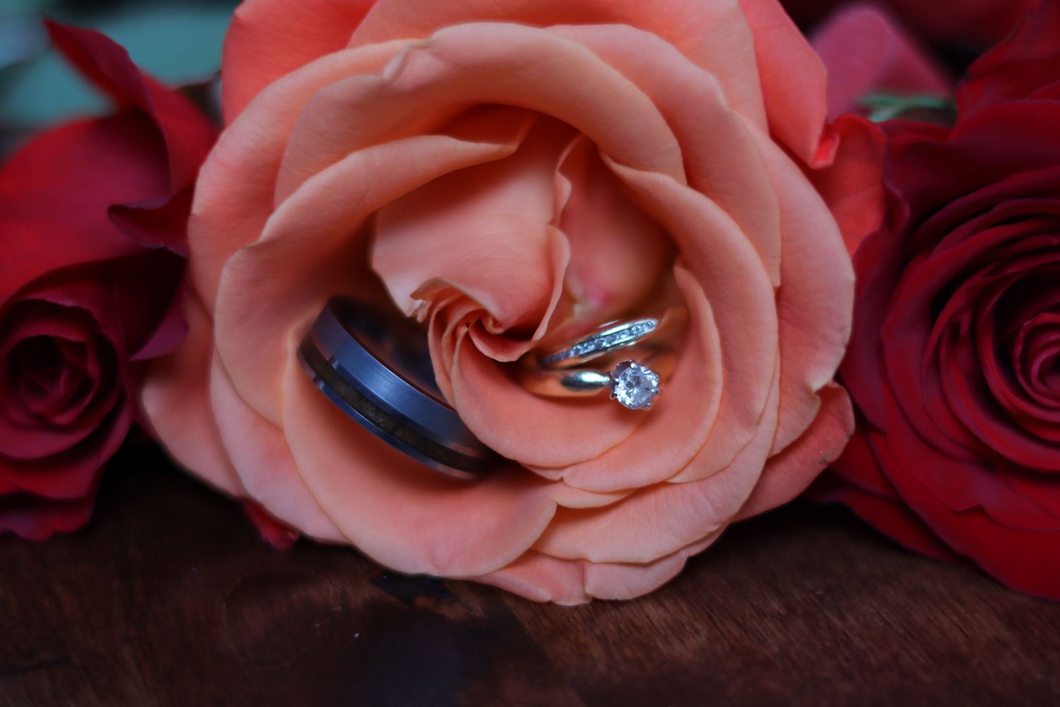 A man's and women's wedding ring set pleasantly displayed in the center of a peach rose.