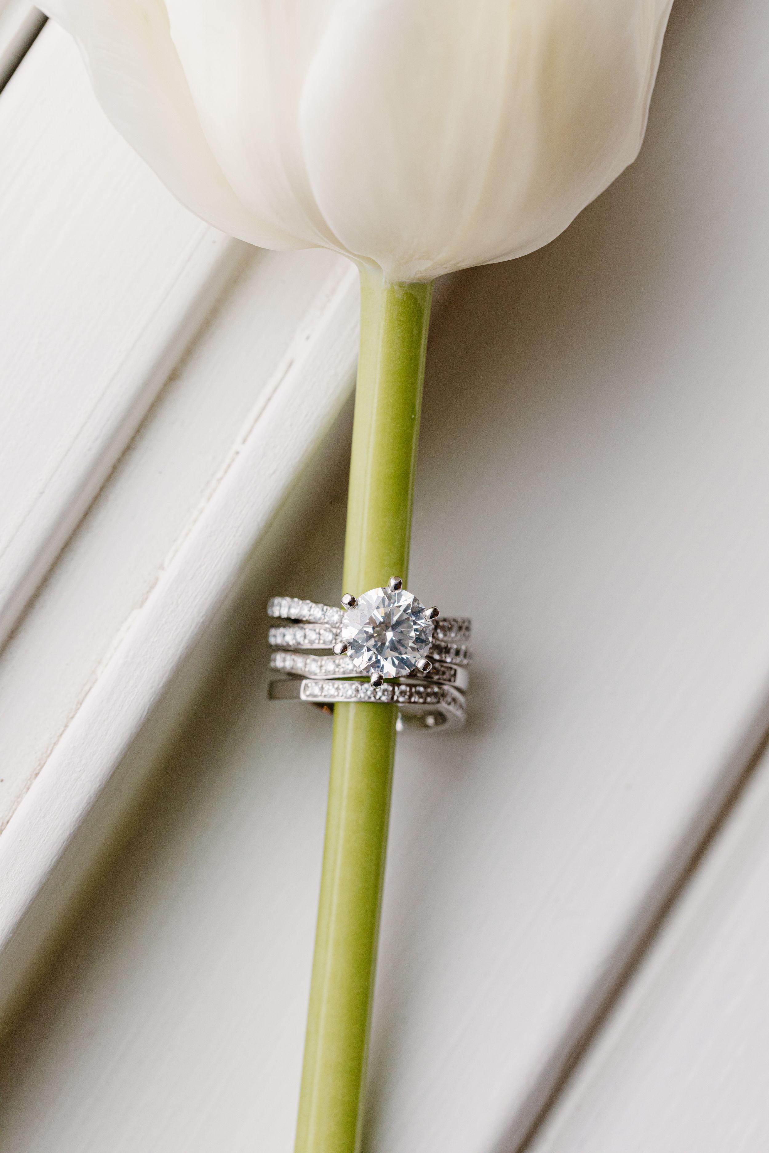 Diamond wedding rings elegantly displayed on a white tulip stem against a white background.