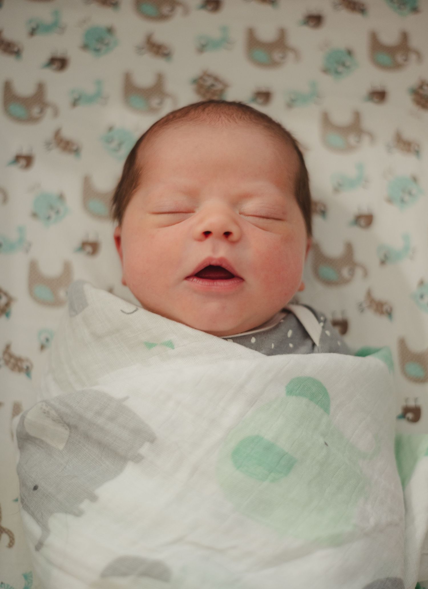 Sleeping newborn baby wrapped in white swaddle blanket on patterned background with cats and mint green shapes.