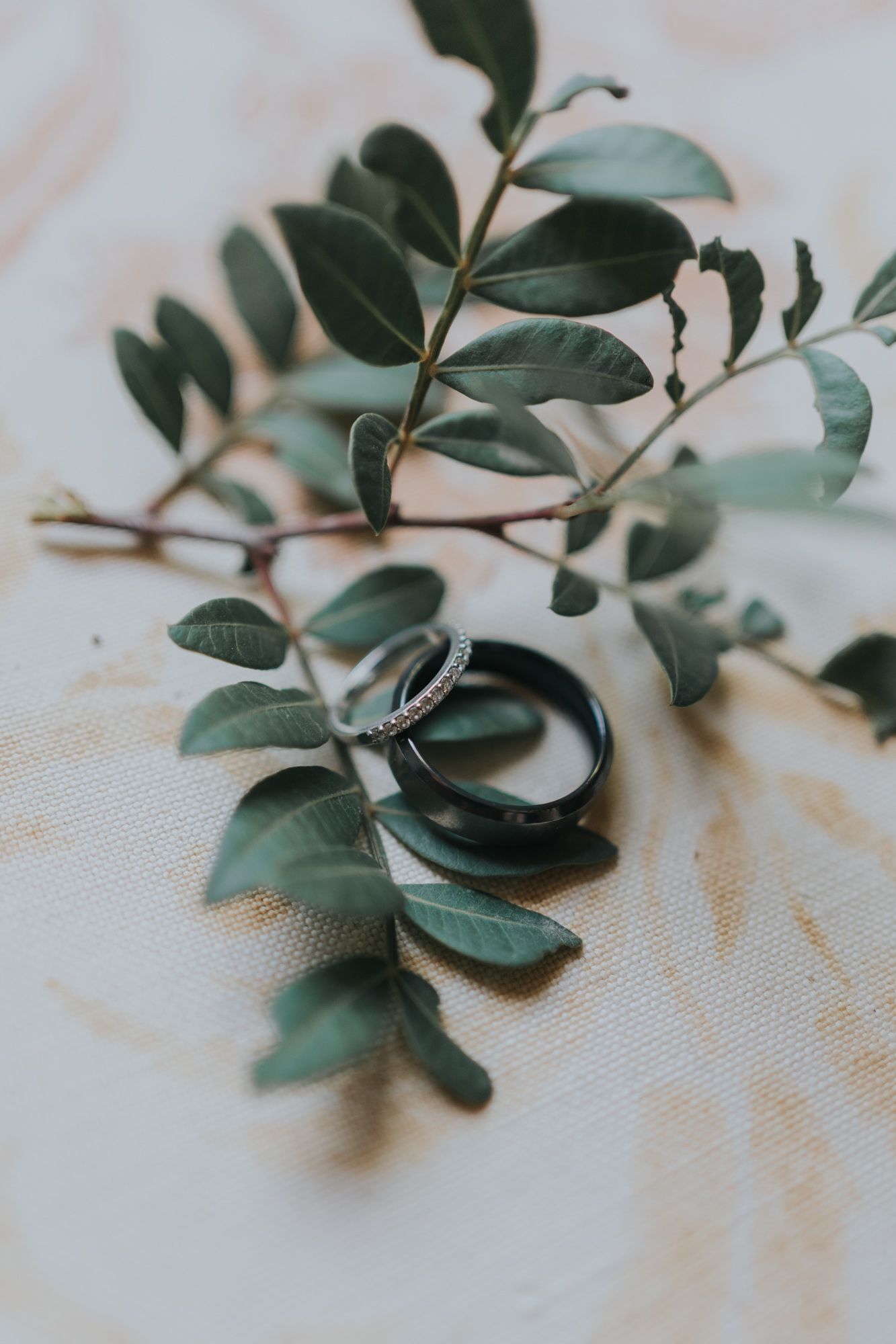 Wedding rings nestled among delicate green leaves and foliage on white fabric.