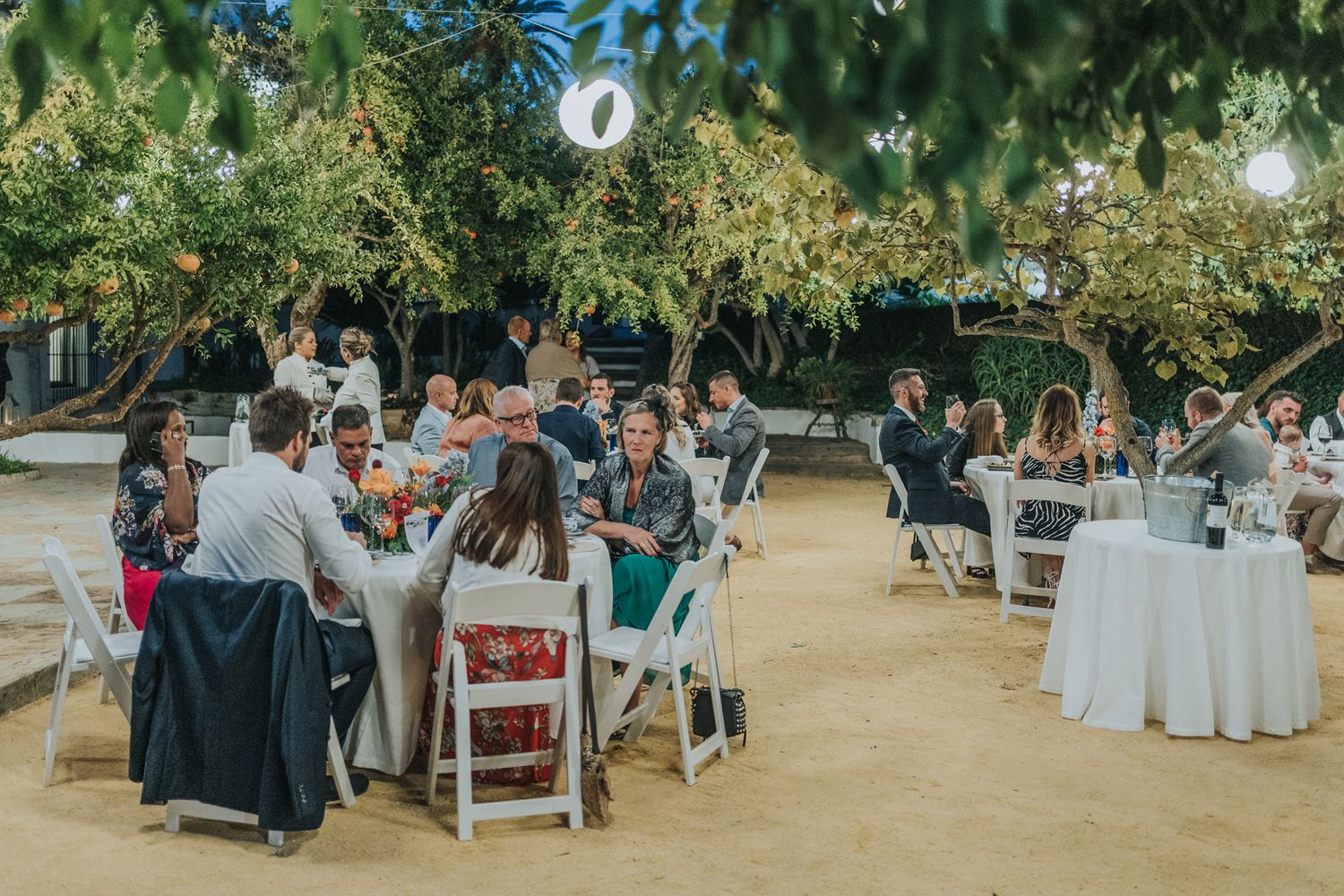 Outdoor wedding reception with guests dining at tables under trees during golden hour.