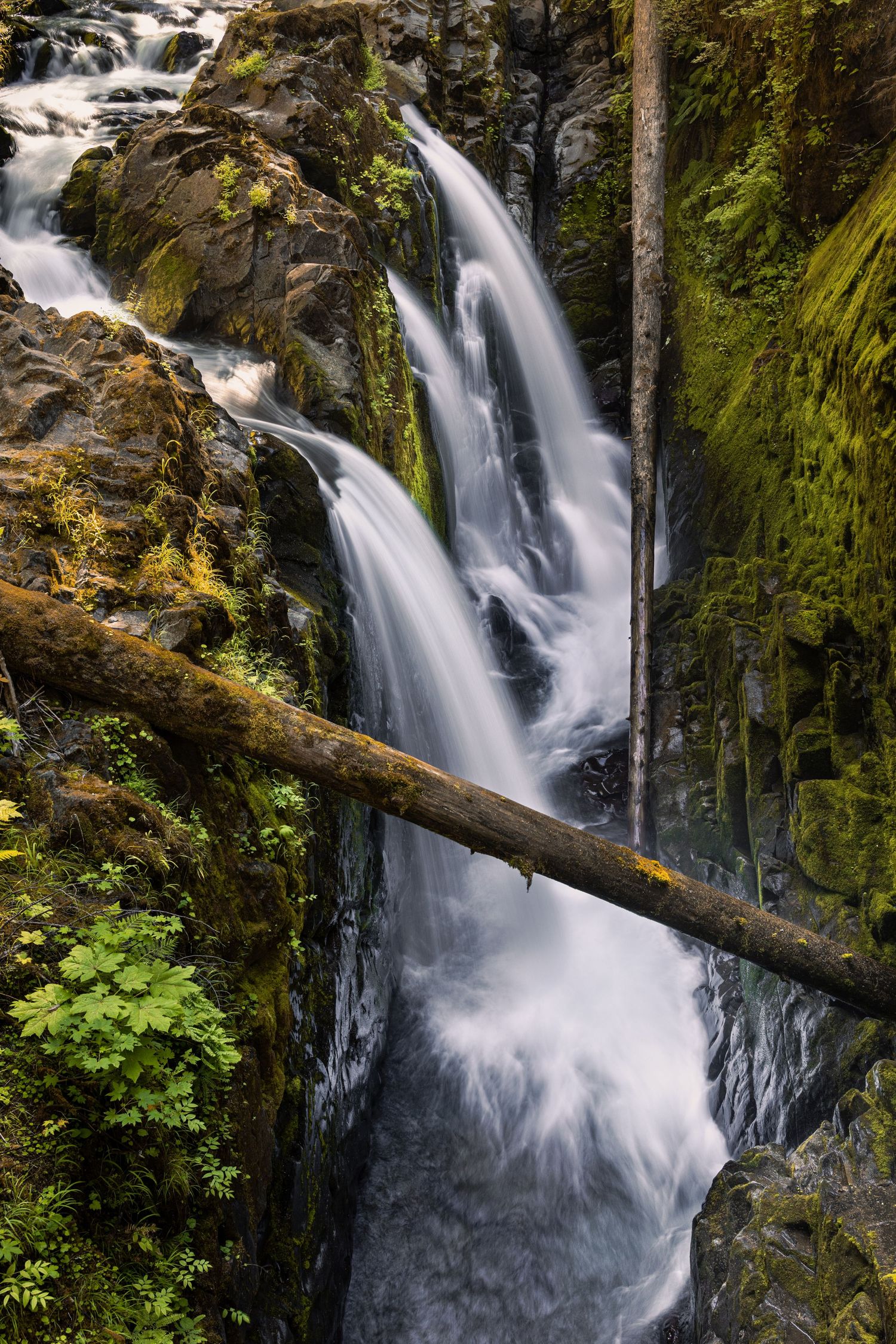 Sol Duc Falls in Olympic National Park