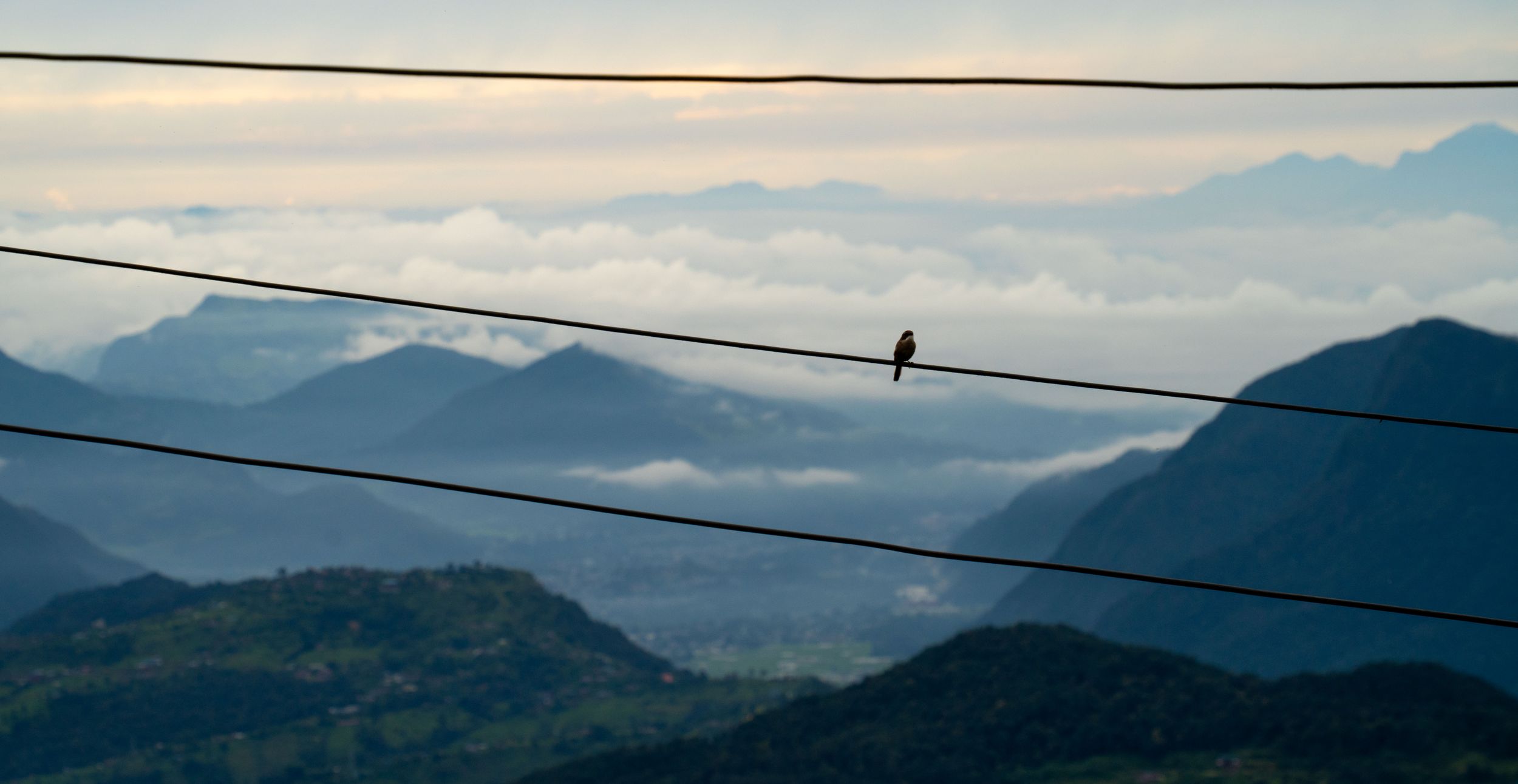 Power lines stretch across mountainous landscape with bird perched on wire.