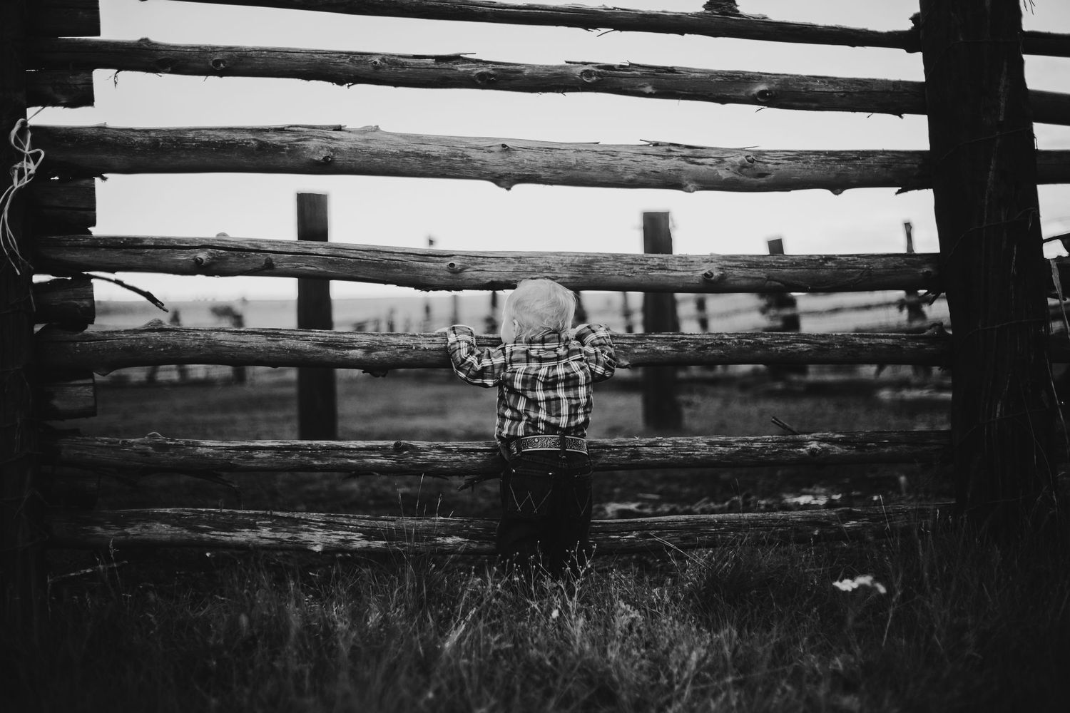 A rustic wooden fence stretches across a misty rural landscape at sunset.