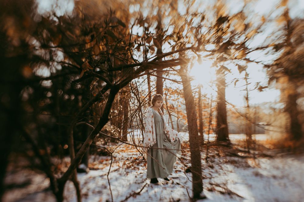 Sun rays filter through bare winter trees in a snowy forest creating a warm sepia-toned atmosphere.