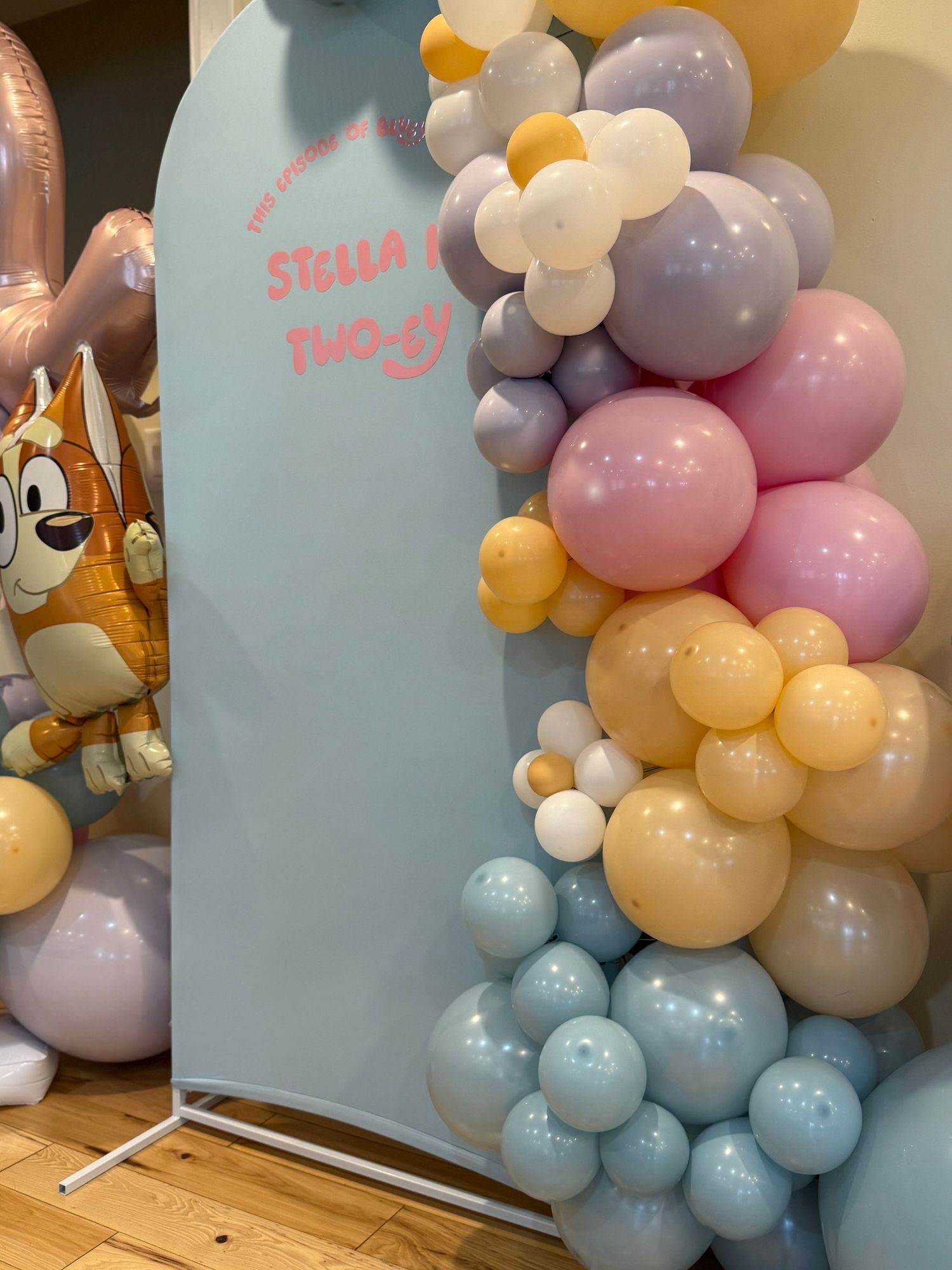 Pastel balloon arch installation with Bluey decorations against light blue backdrop.