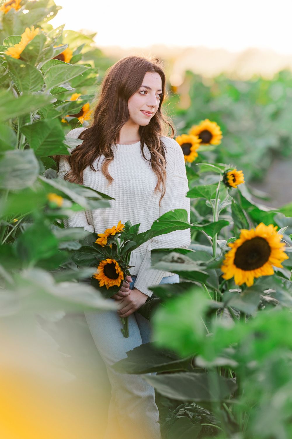 A dreamy portrait in a sunflower field shows a white sweater-clad figure surrounded by bright yellow blooms at sunset.