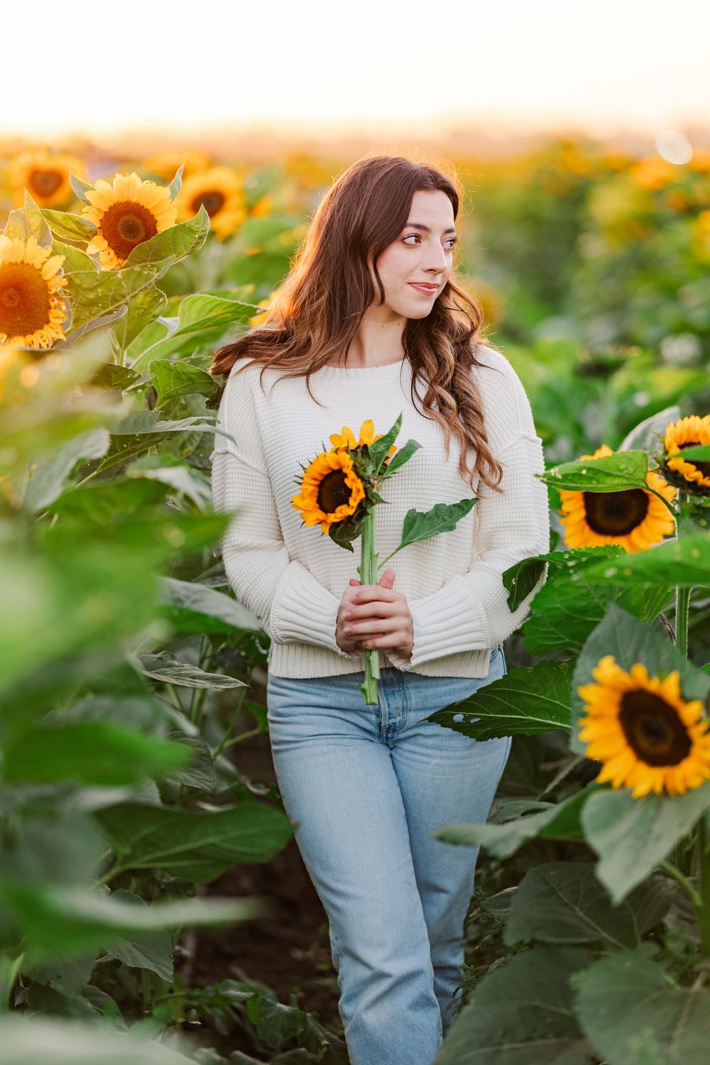 A person in light sweater and jeans stands among tall blooming sunflowers during golden hour.