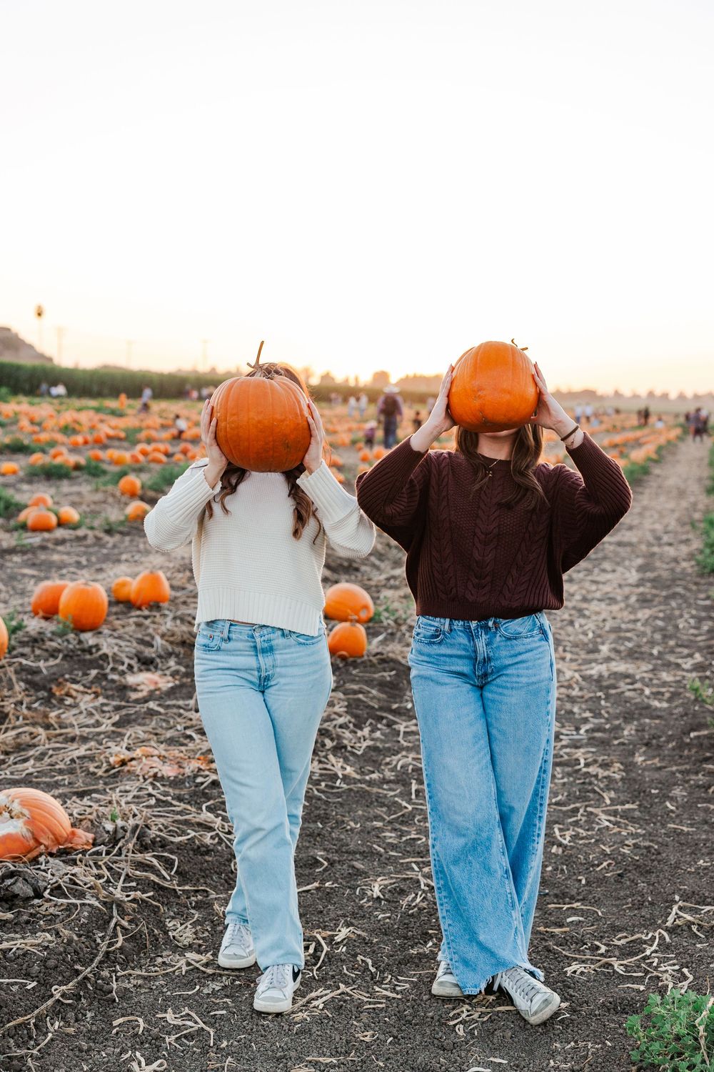 Two people wearing jeans hold pumpkins in front of their faces while standing in a pumpkin patch at sunset.