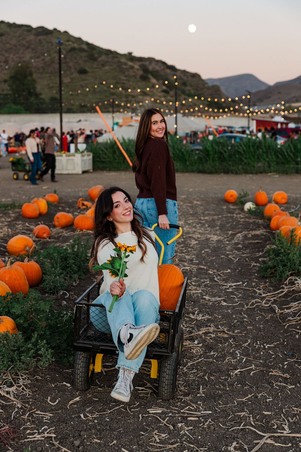 A fall pumpkin patch scene at sunset with string lights and mountains in the background.