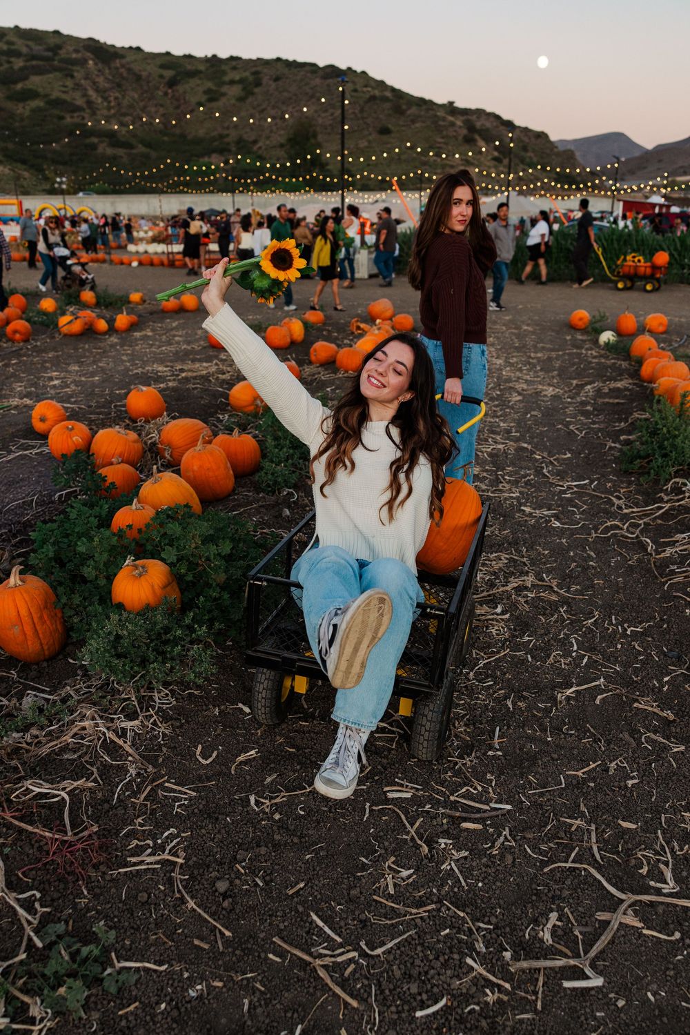 A series of photos at a pumpkin patch during sunset with string lights and orange pumpkins scattered across a dark field.
