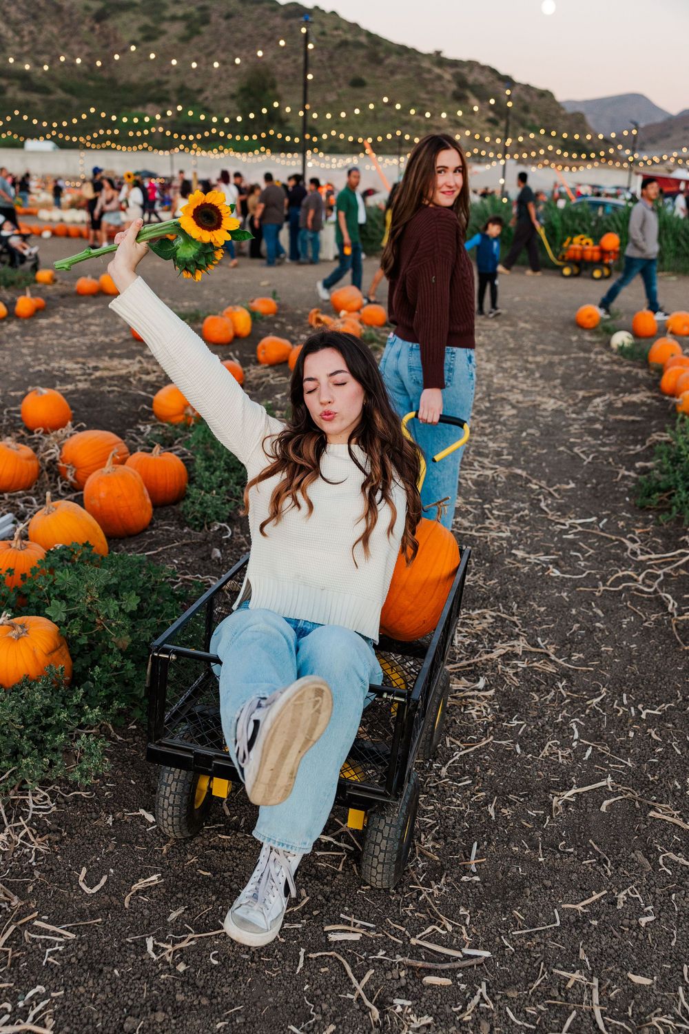 Pumpkin patch at dusk with string lights overhead and orange pumpkins scattered across dry ground.