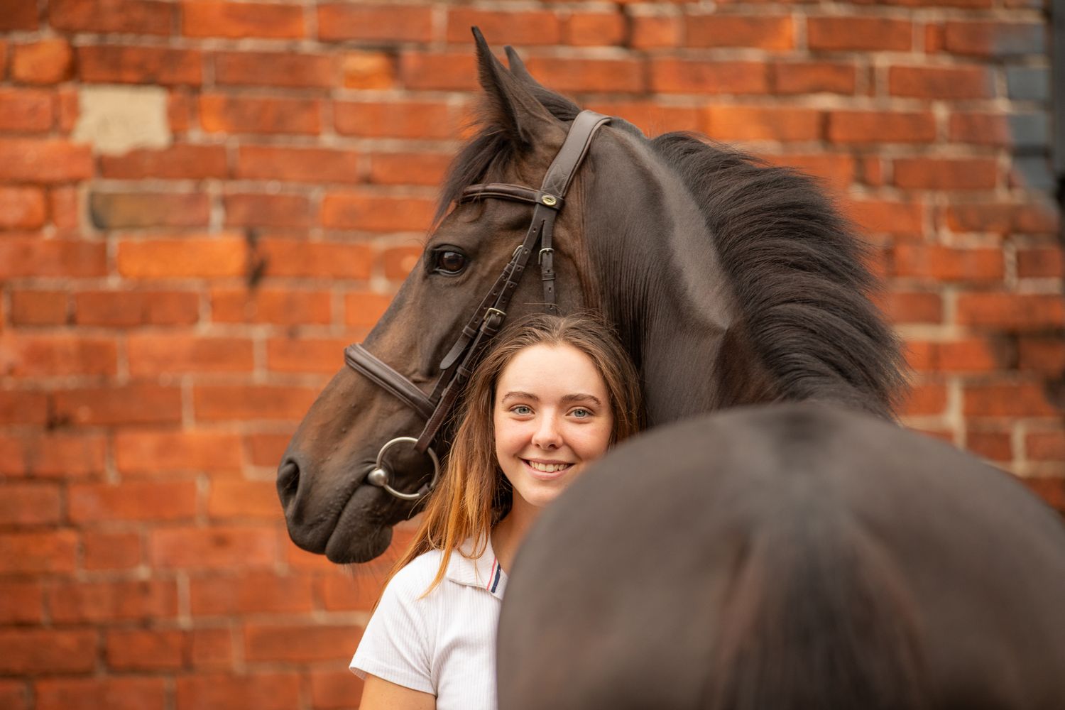 A beautiful black and white paint horse stands with a person on a sunny autumn day outdoors.