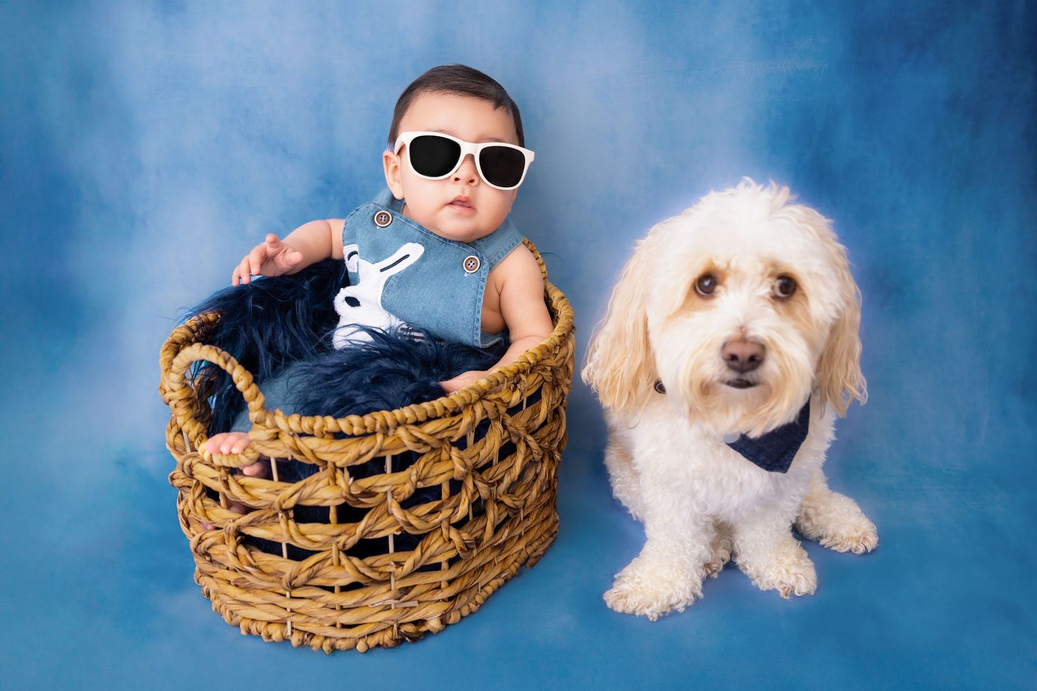best Long Island baby photographer, Long Island sitter sessions, Long Island sitter photo shoot, best Nassau county baby photographer
