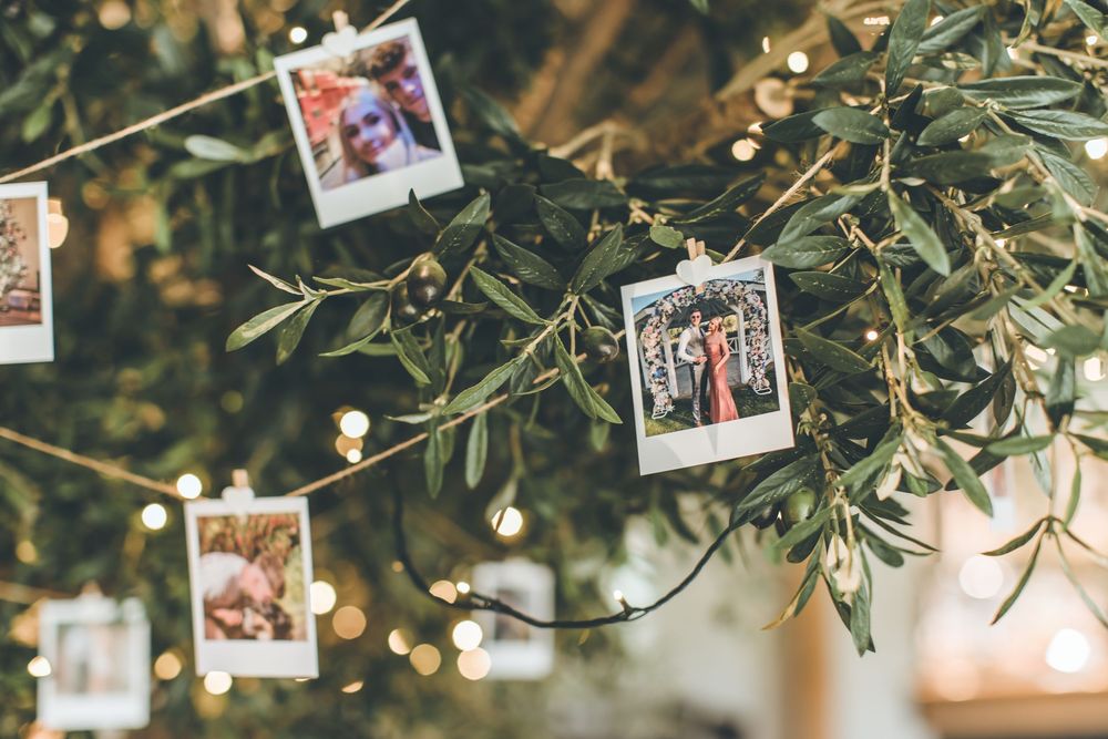 Polaroid photos hanging from tree branches with string lights create a romantic wedding display.