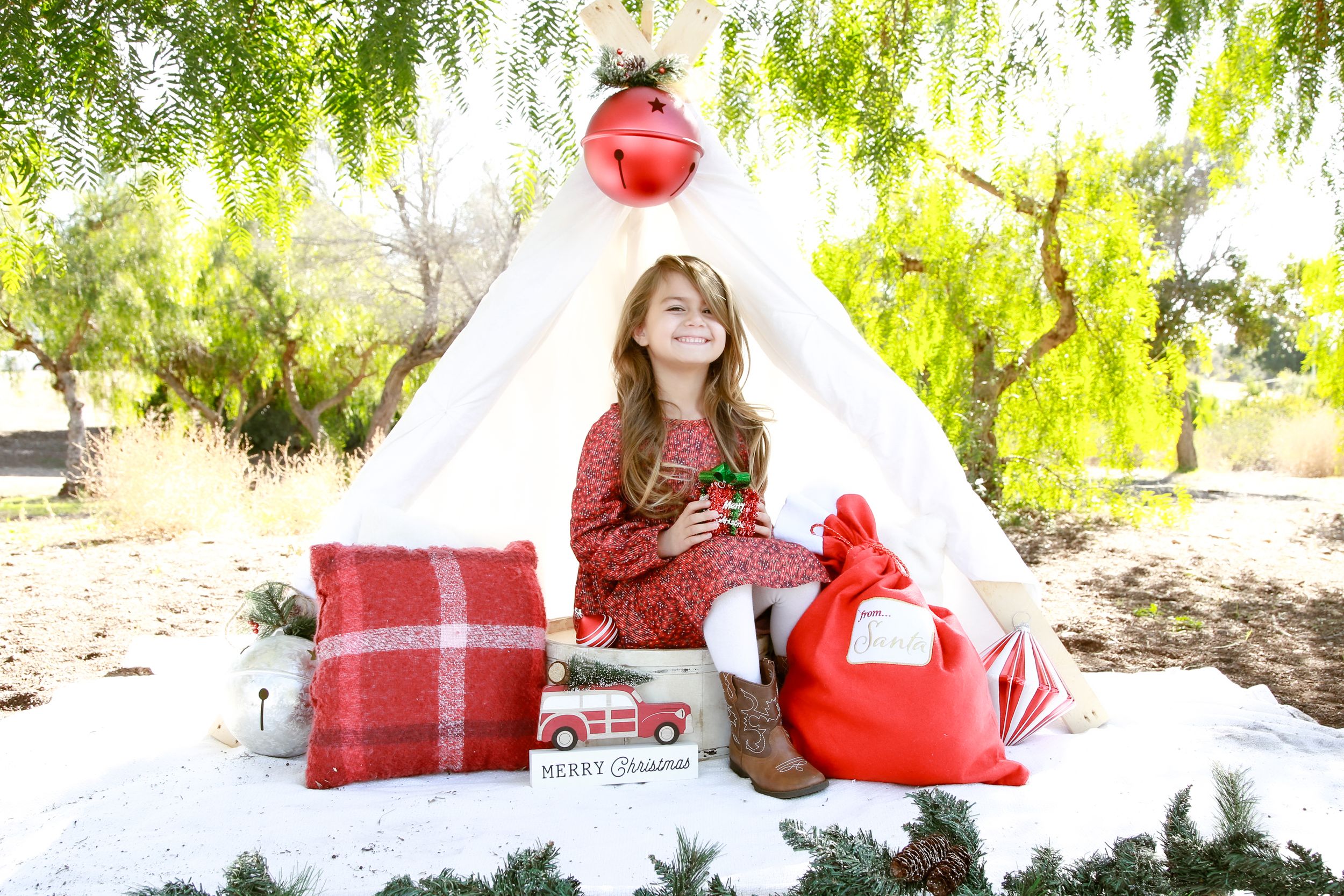 Holiday outdoor photo setup with red decorations under willow tree branches.