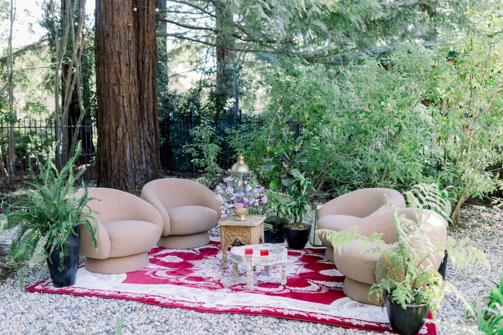 Outdoor seating area with comfortable cushions and decorative elements under tall redwood trees.