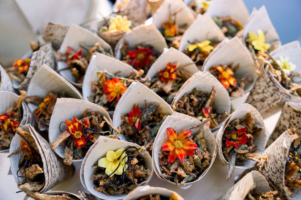 Catering display of appetizers garnished with edible flowers.