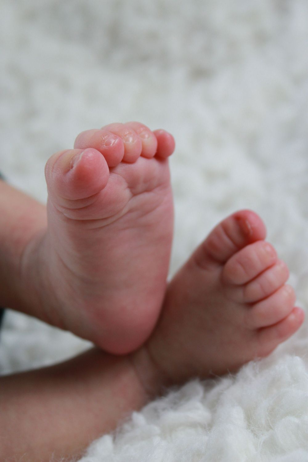 Close-up of tiny baby feet against a white textured background.