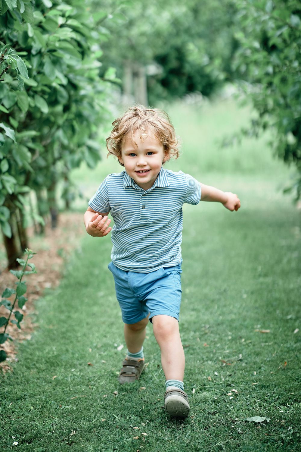Small child wearing striped shirt and blue shorts runs happily down a green garden path between fruit trees.
