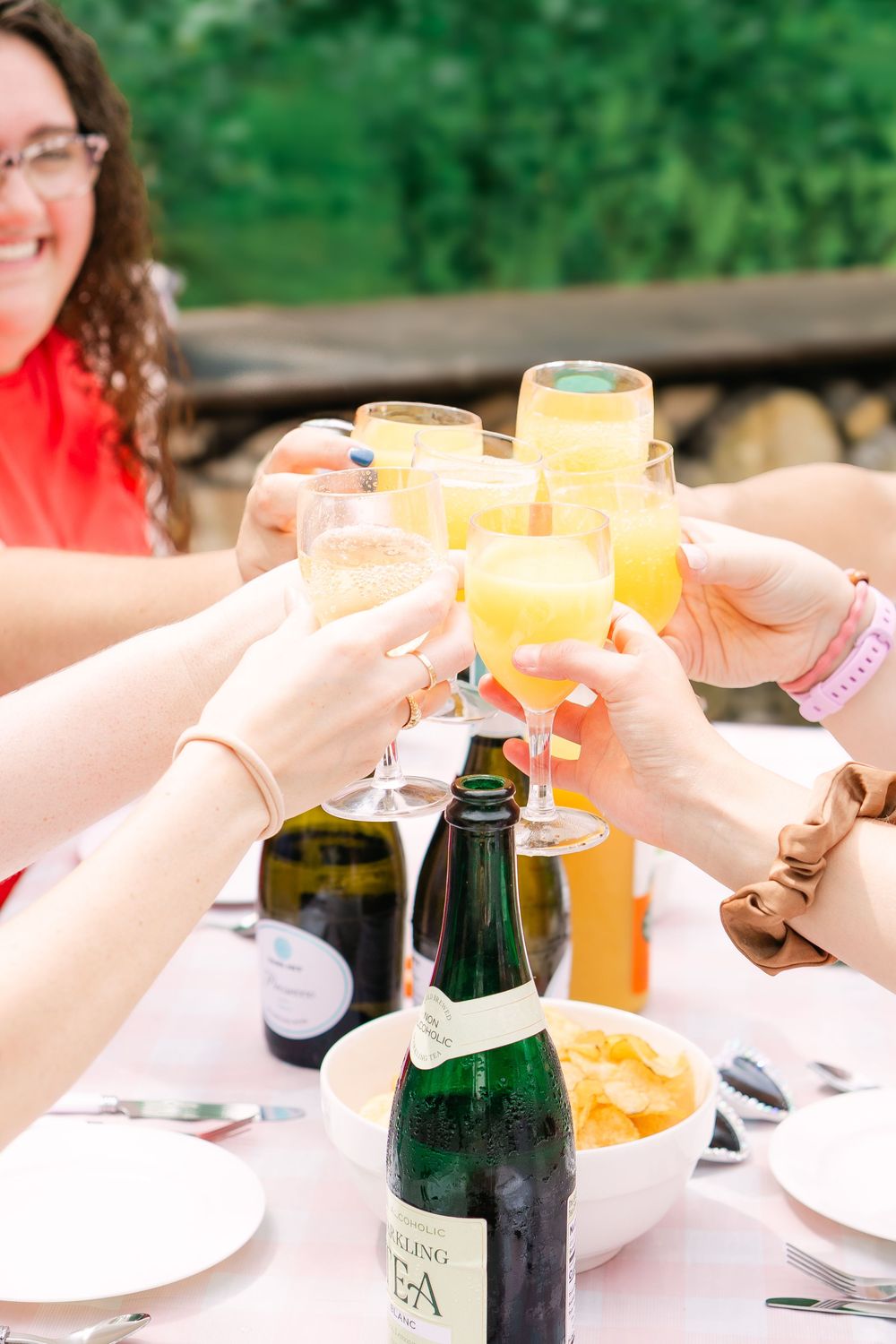 Close up of mimosa toast of girls gathered at a picnic bachelorette in Victoria, Minnesota