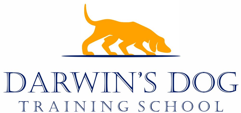 Orange silhouette logo of a dog with blue text reading Darwin's Dog Training School.