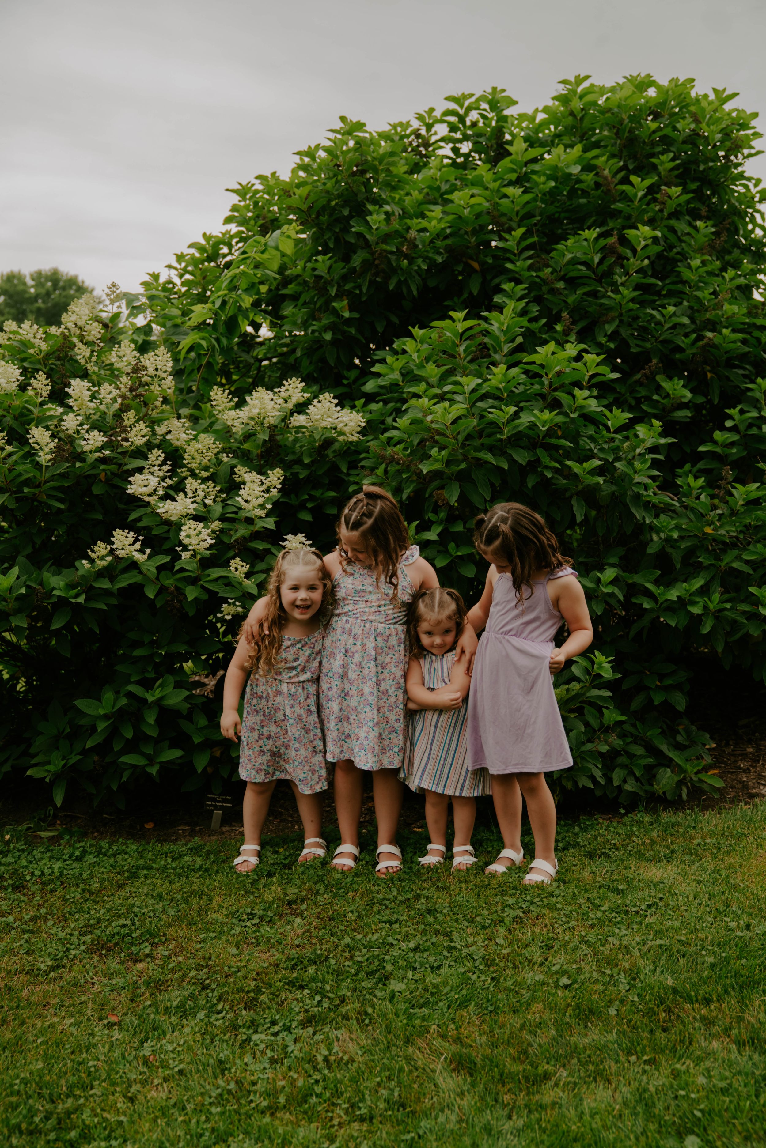 Group sitting together on grassy hill with blooming elderberry bushes in background.