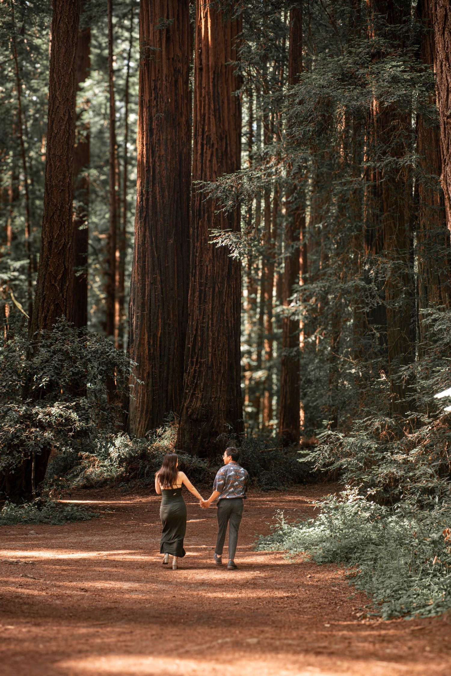 redwood forest engagement photos
redwood national park engagement photos
redwood grove engagement photos
reinhardt redwood regional park eng
