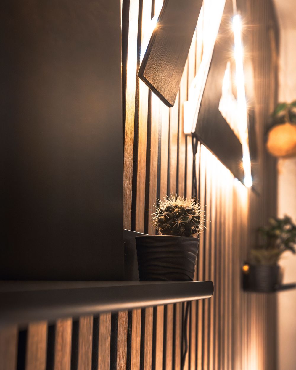 A small potted cactus sits on a wooden deck railing at sunset, creating a warm atmospheric silhouette.