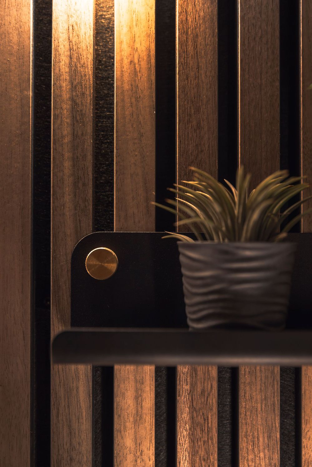 Modern interior design with dark wooden slat wall panels and decorative potted plants on floating shelves.