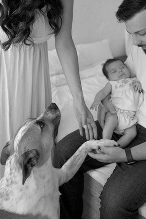 A family moment with a dog looking up while a baby rests on a bed.
