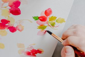 Tarifs photographe portrait artisan le havre