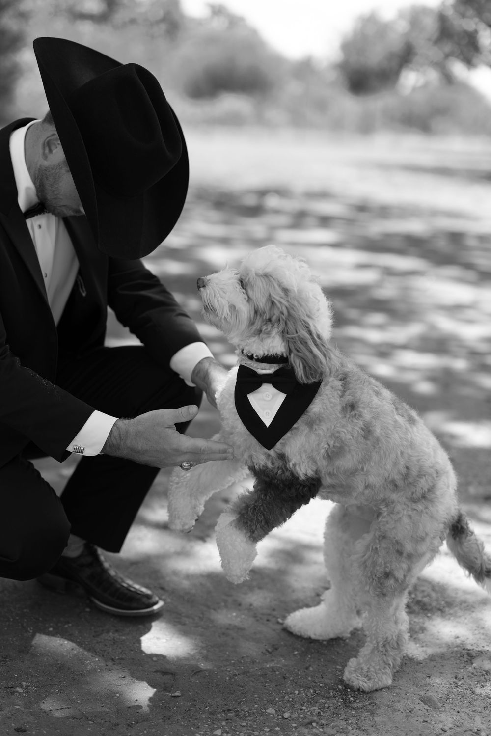 A person in formal attire adjusts a bowtie on a fluffy white dog dressed for a special occasion.