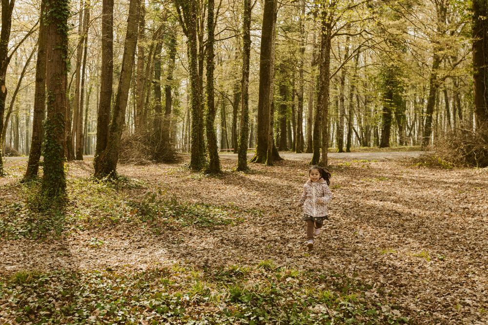 Petite fille qui joue dans la forêt au lac du Der, dans la Marne