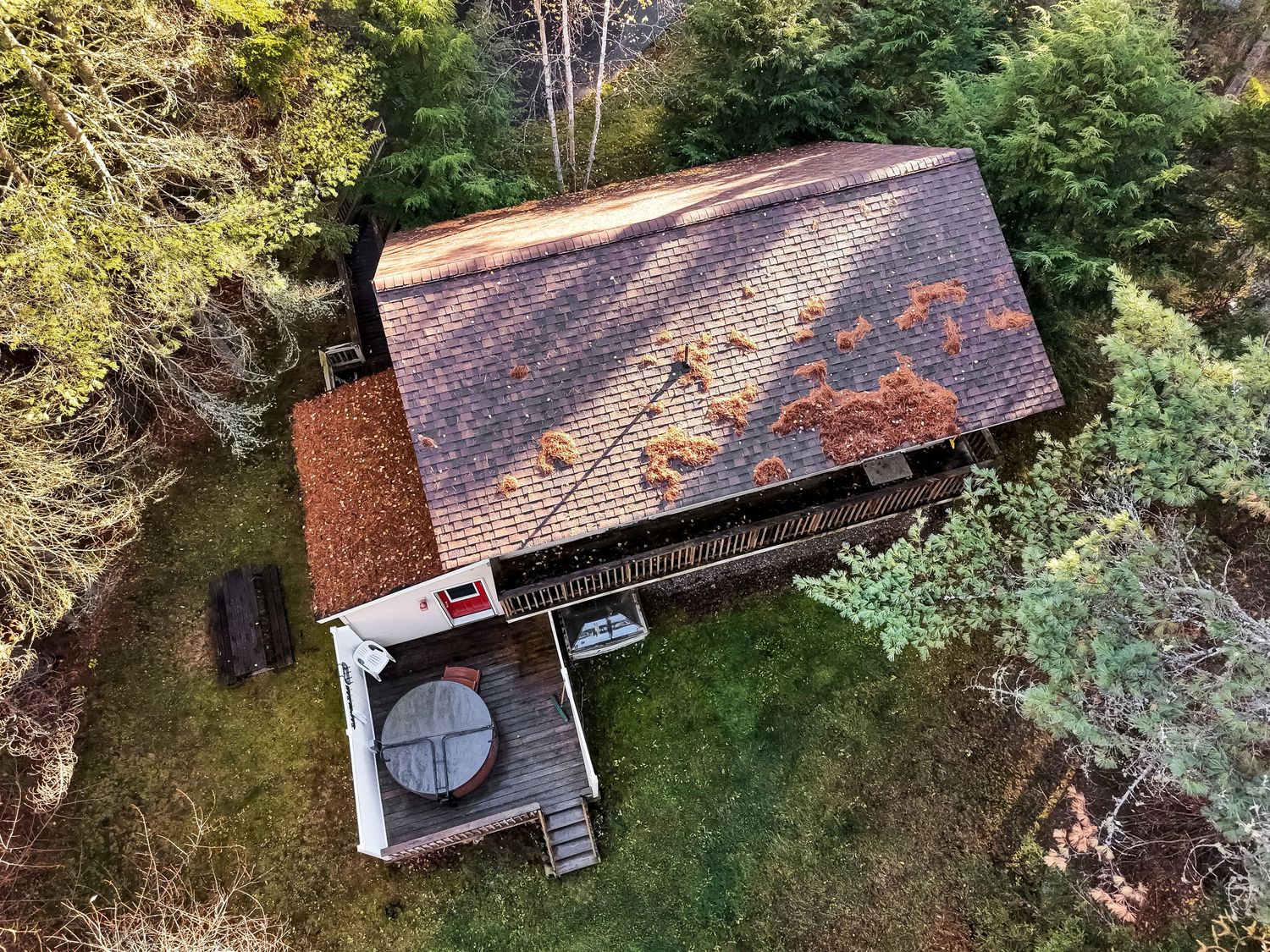 Aerial view of a rustic cabin with weathered roof surrounded by autumn forest.