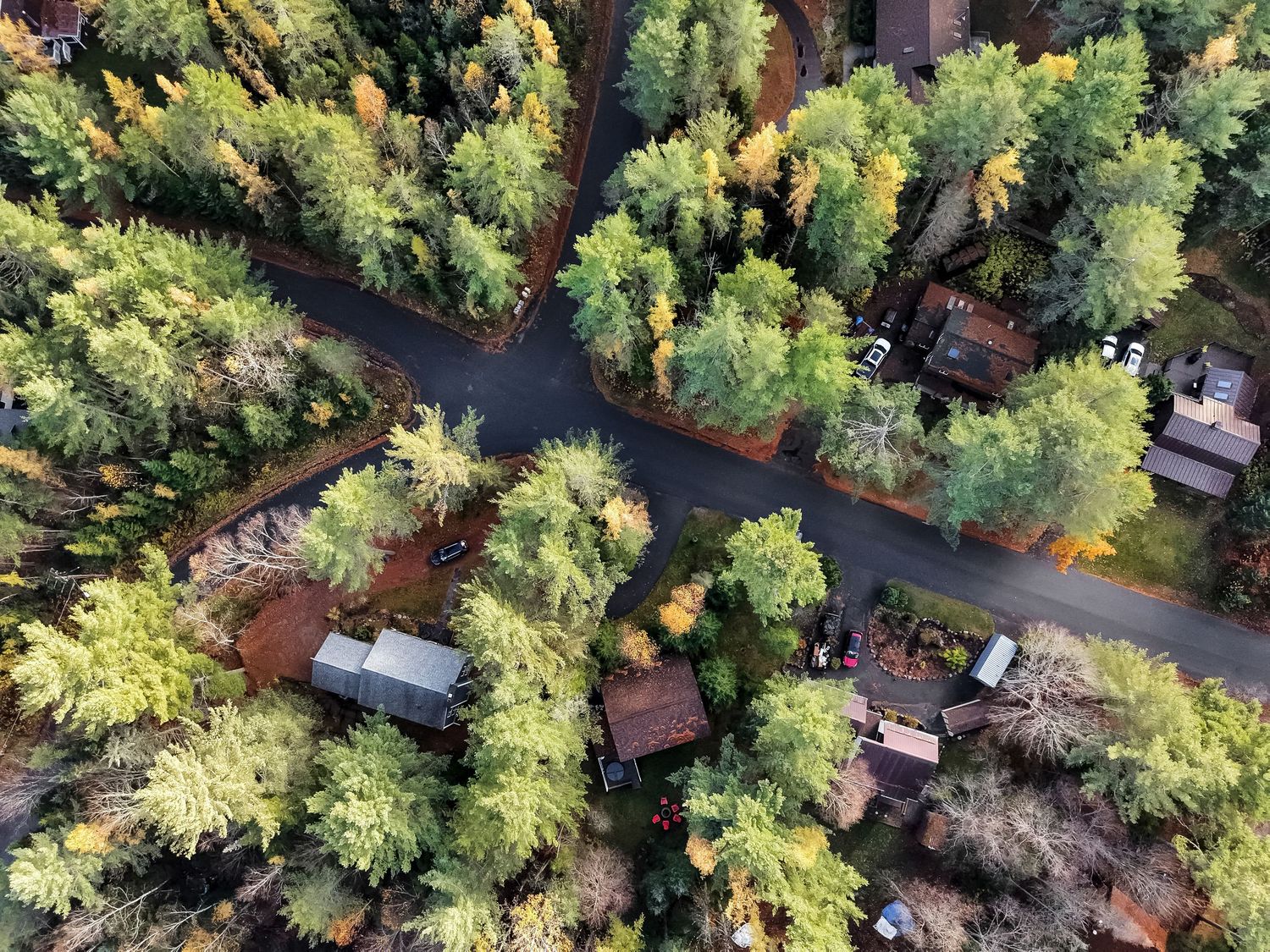 Aerial view of flooded forest with cabins and buildings scattered among green trees along winding waterways.