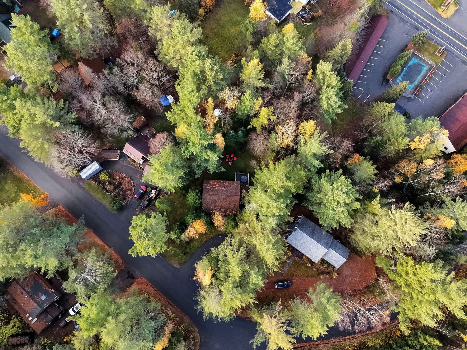 Drone shot of vacation cabins nestled among tall trees with roads and pathways connecting them.