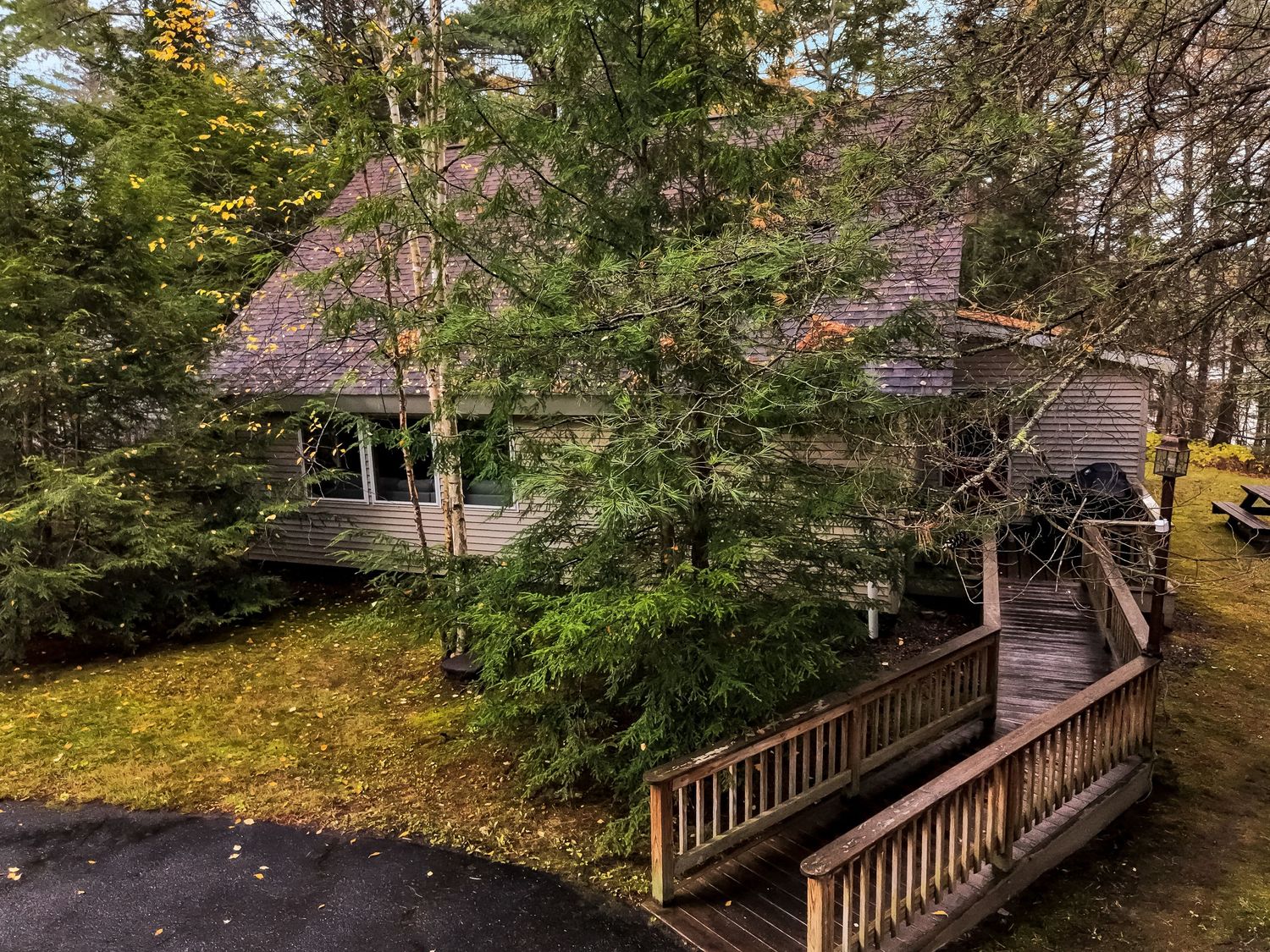 Wooden deck and stairs leading to a forest cabin surrounded by lush green trees and natural landscaping.