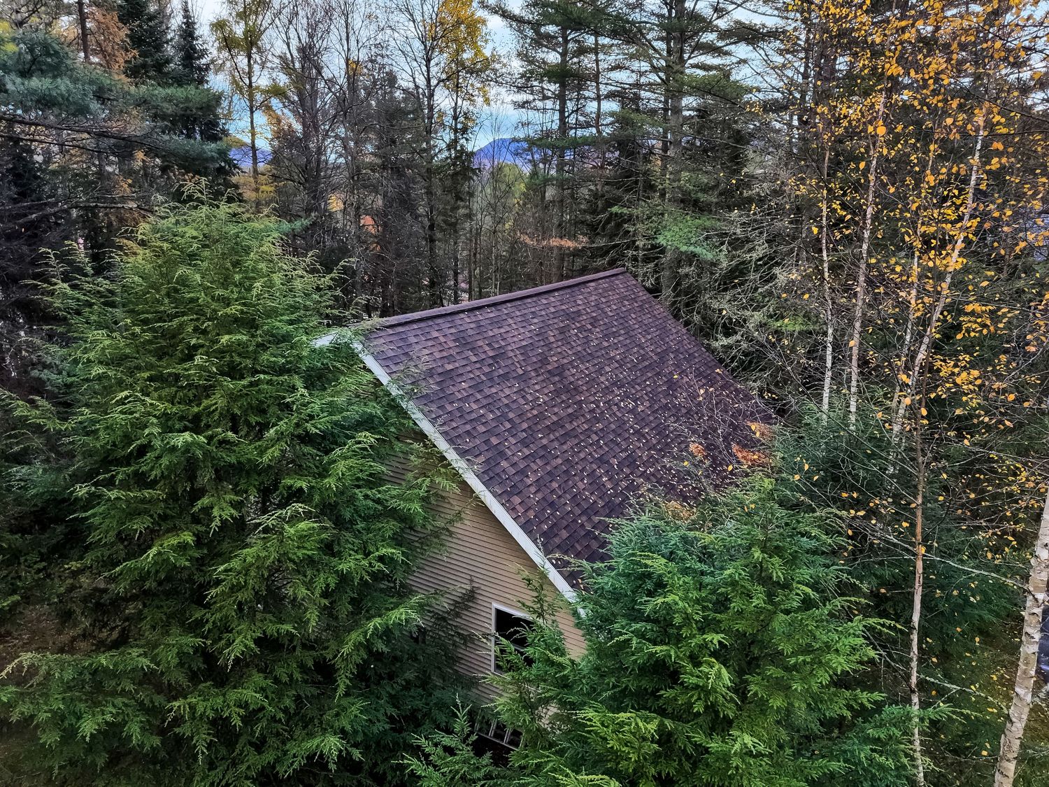 Cabin roof peeking through evergreen trees in a forested mountain setting during autumn.