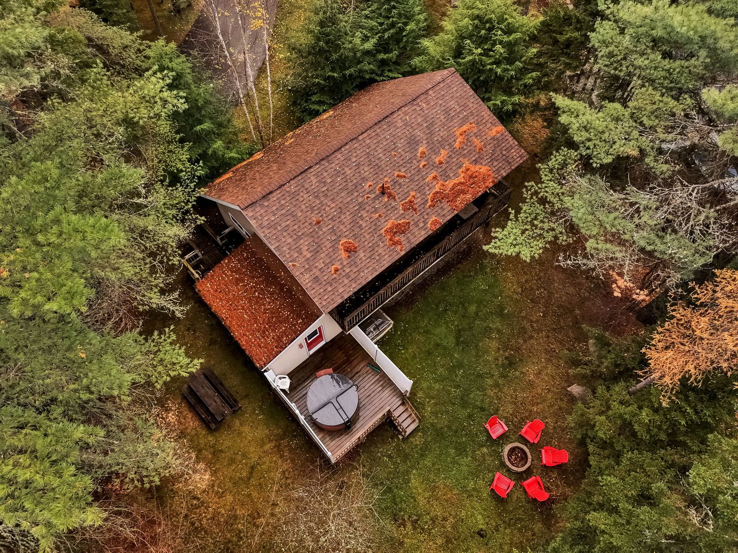 Drone view of forest cabin with red circular pattern in yard and weathered metal roof.