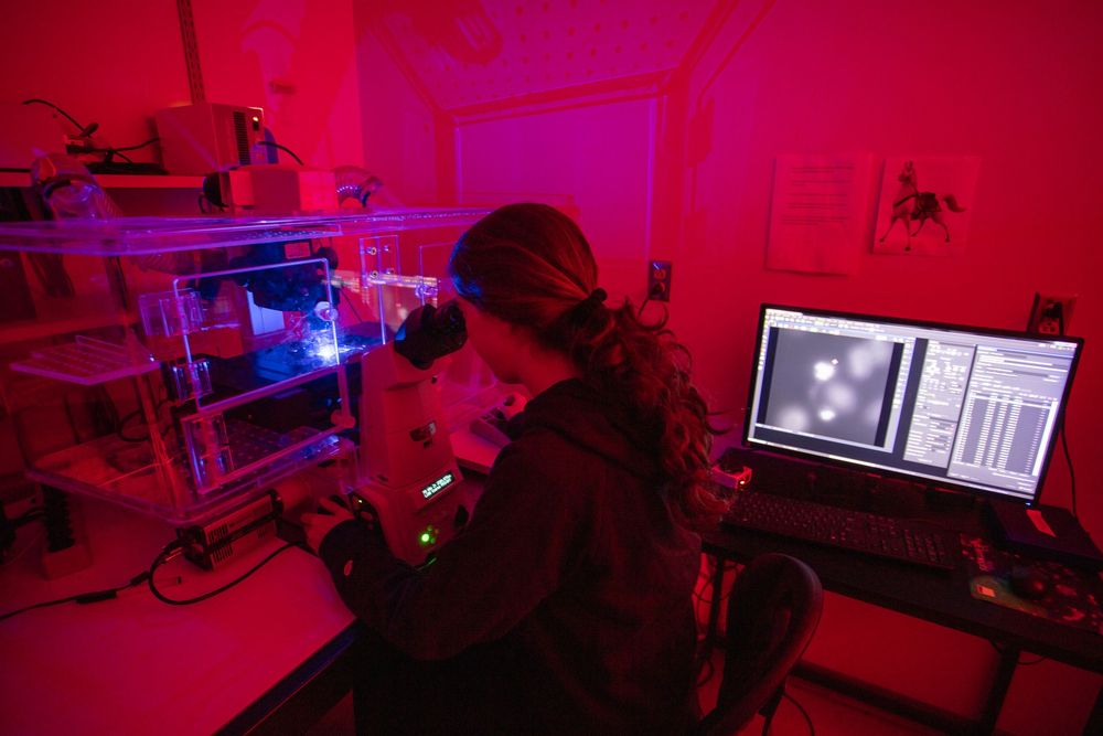 lab research